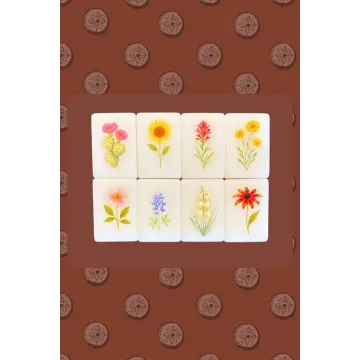 Wild West Mahjong Tiles Only
